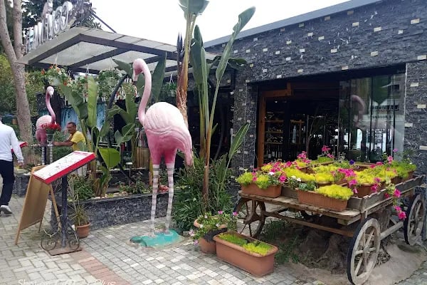 Flamingos Beach Club - Resim 20