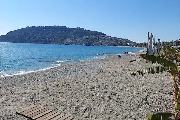 Flamingos Beach Club - Resim 10