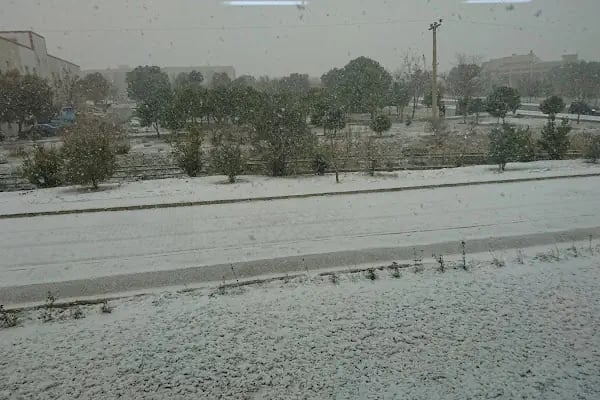 İzmir Yüksek Teknoloji Enstitüsü İYTE - Resim 18