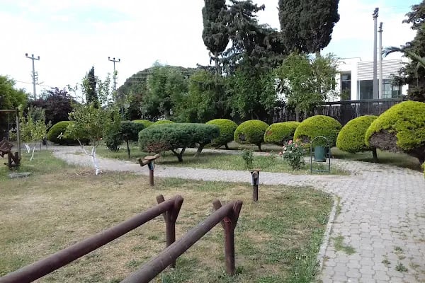 Bodrum Sağlık Vakfı - Resim 17