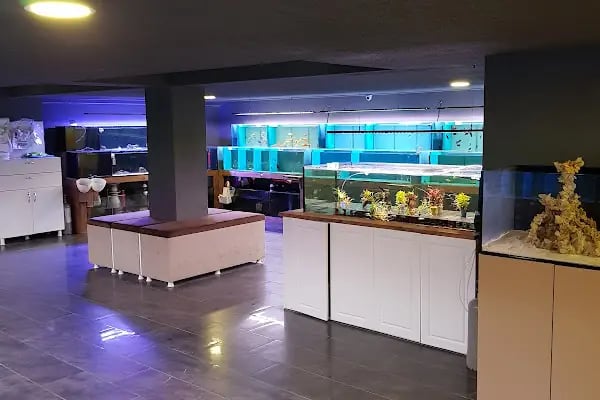 Yavuz Pet Shop - Resim 12