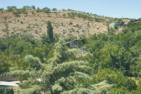 Gündüzbey Yörük Sofrası - Resim 6