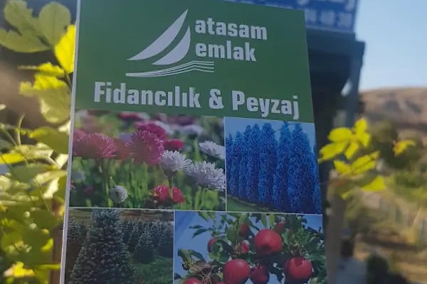 Atasam Fidancılık ve Peyzaj - Resim 5