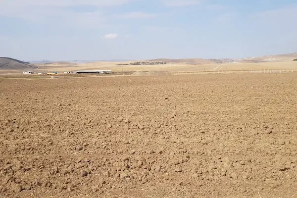 Atasam Fidancılık ve Peyzaj - Resim 19