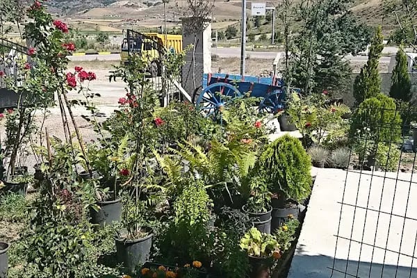 Atasam Fidancılık ve Peyzaj - Resim 20