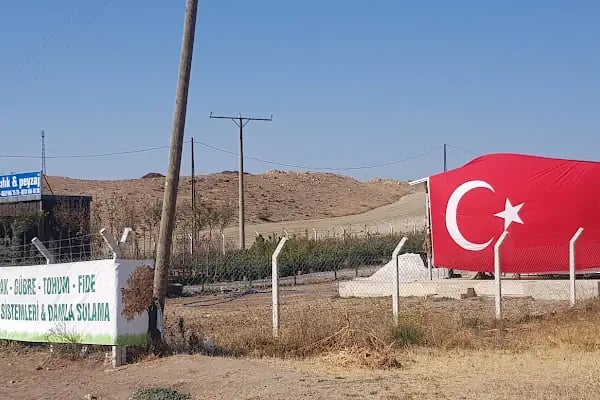 Atasam Fidancılık ve Peyzaj - Resim 15