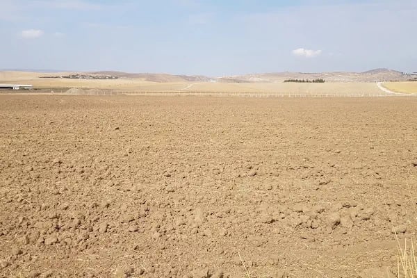 Atasam Fidancılık ve Peyzaj - Resim 16