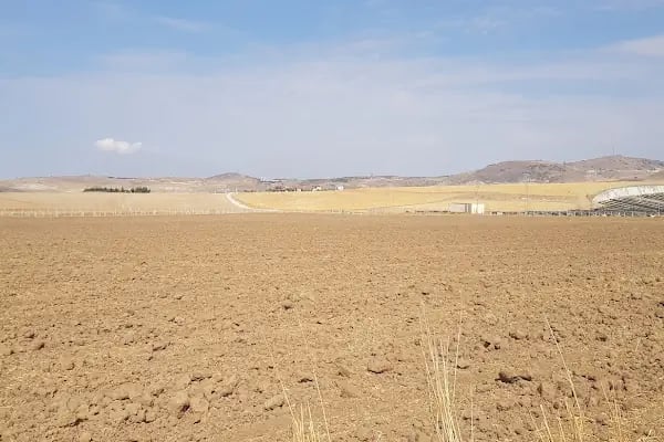 Atasam Fidancılık ve Peyzaj - Resim 17