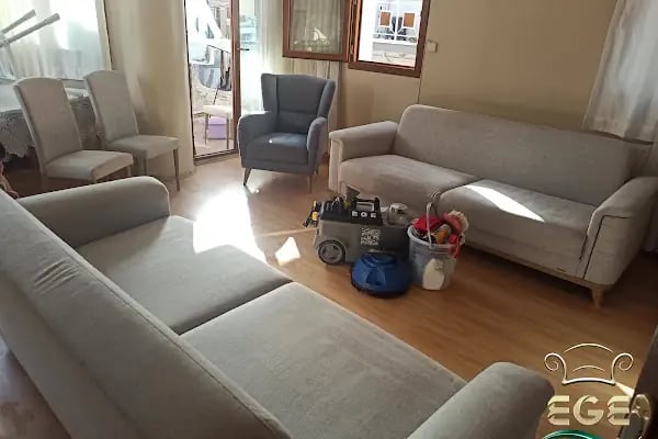 Ege Koltuk Petek Yıkama - Resim 16