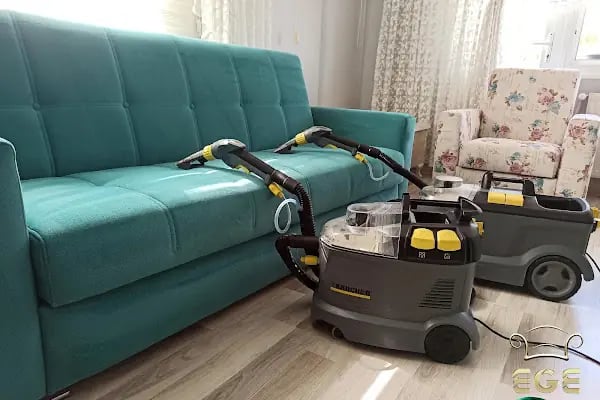 Ege Koltuk Petek Yıkama - Resim 11