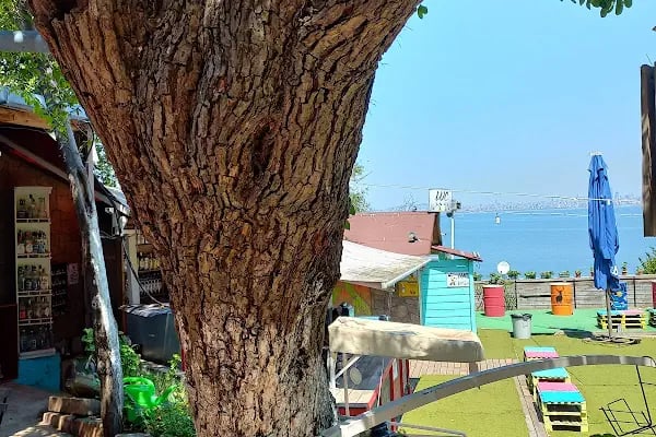 Burgazada Cennet Bahçesi - Resim 20