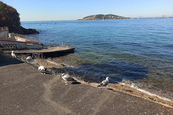 Burgazada Cennet Bahçesi - Resim 14