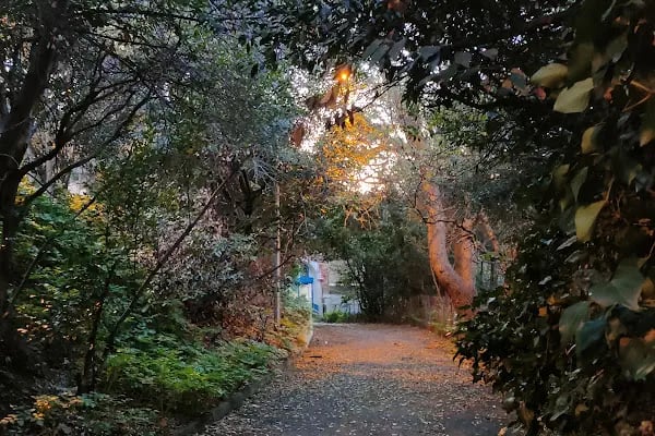 Burgazada Cennet Bahçesi - Resim 7