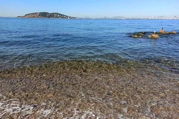 Burgazada Cennet Bahçesi - Resim 5
