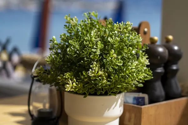 The Vox Bodrum - Resim 14