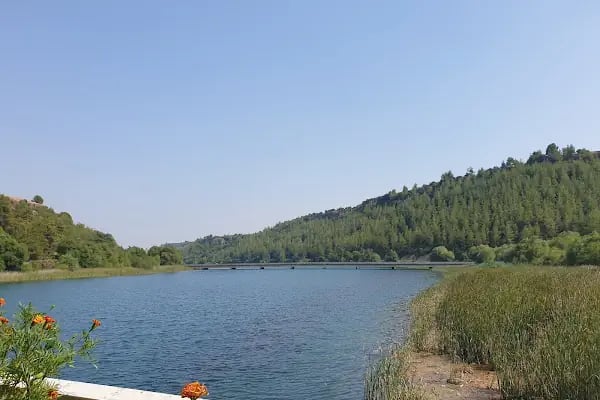 ALADAĞ KÖPRÜBAŞI KAFE - Resim 8