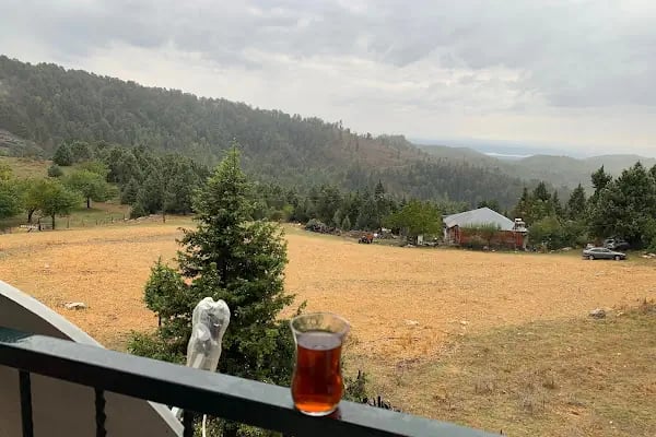ALADAĞ KÖPRÜBAŞI KAFE - Resim 15