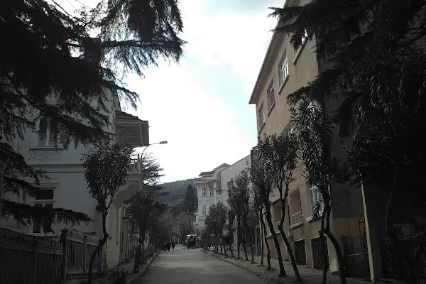 PRİNCES - Resim 8