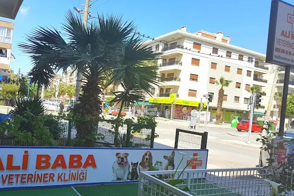 Ali Baba Veteriner Kliniği - Resim 3