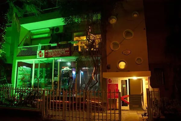 Ali Baba Veteriner Kliniği - Resim 4