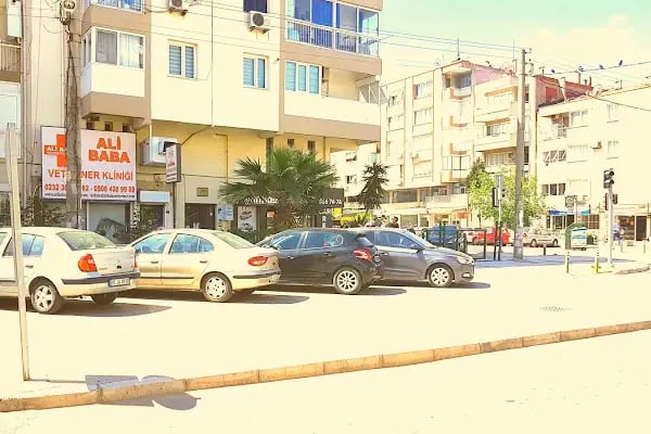 Ali Baba Veteriner Kliniği - Resim 12