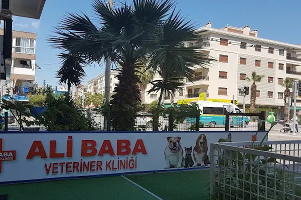 Ali Baba Veteriner Kliniği - Resim 17