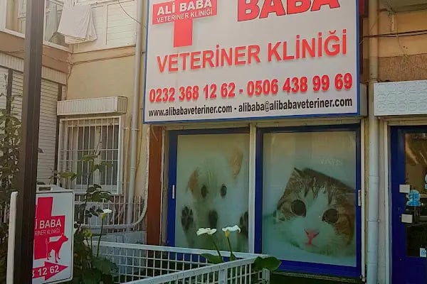 Ali Baba Veteriner Kliniği - Resim 16