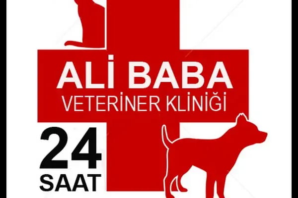 Ali Baba Veteriner Kliniği - Resim 13