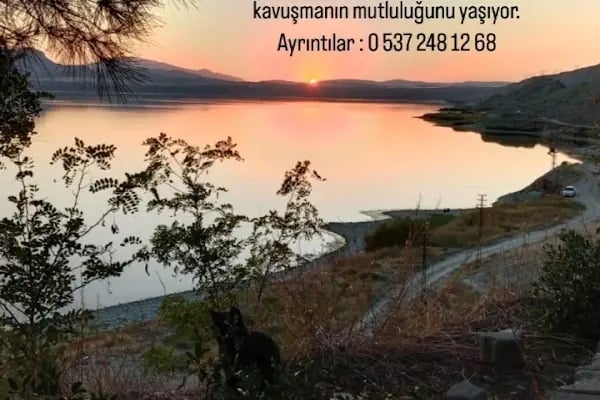 Camlik kamping - Resim 7