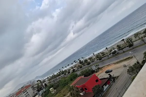 Arena Halısaha - Resim 5