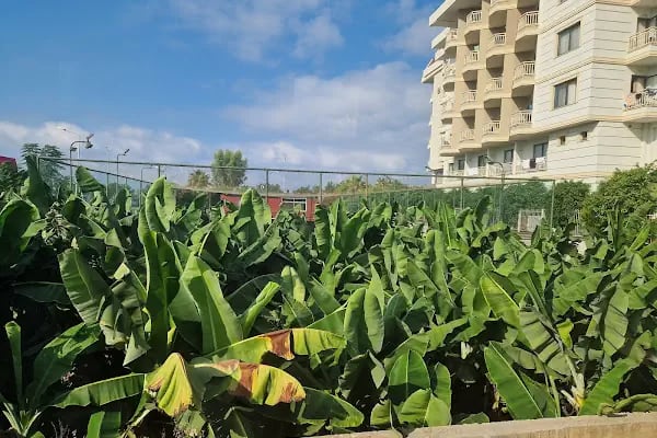 Arena Halısaha - Resim 8