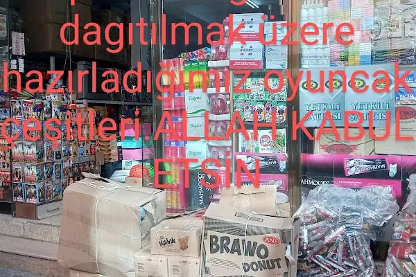 Berkdemir Oyuncak - Resim 14