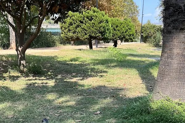 Yaşar Kemal Yürüyüş Parkuru - Resim 6