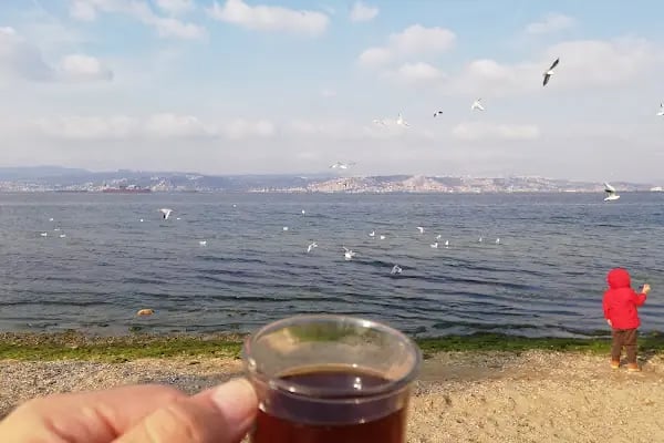 Aydın Fotoğrafcılık - Resim 7