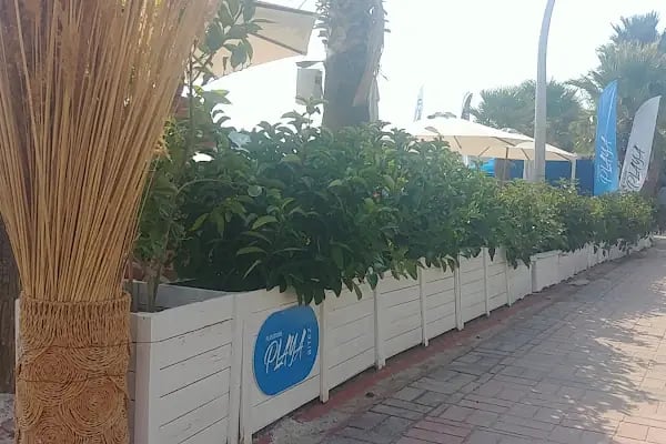 Playground Playa - Resim 12