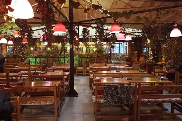 Bacchus Cafe Hamamönü - Resim 8