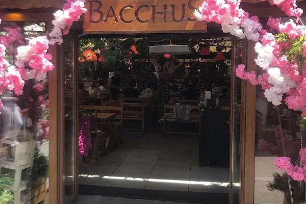 Bacchus Cafe Hamamönü - Resim 19