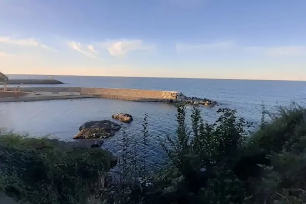 Doğu Karadeniz Gümrük ve Dış Ticaret Bölge Müdürlüğü - Resim 10