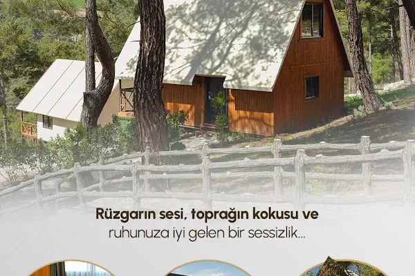 Bulut Doğa Evleri - Resim 6