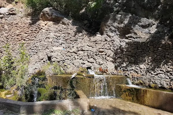 Bademli Boriçi Park - Resim 6