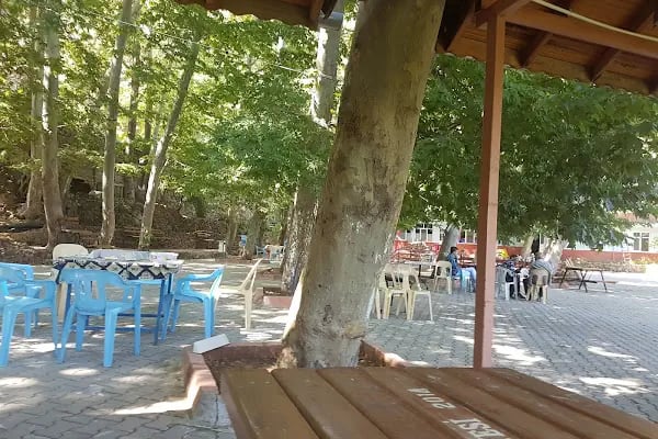 Bademli Boriçi Park - Resim 13