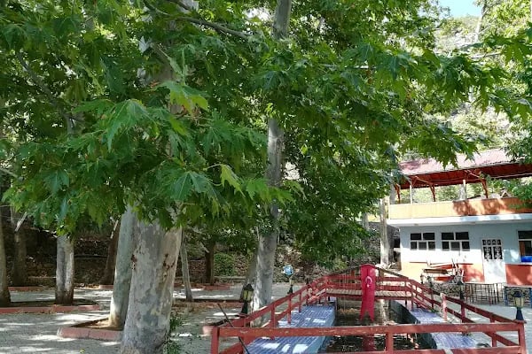 Bademli Boriçi Park - Resim 7