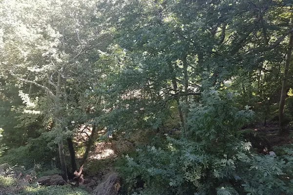 Bademli Boriçi Park - Resim 11