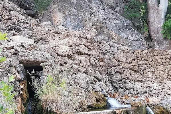 Bademli Boriçi Park - Resim 15