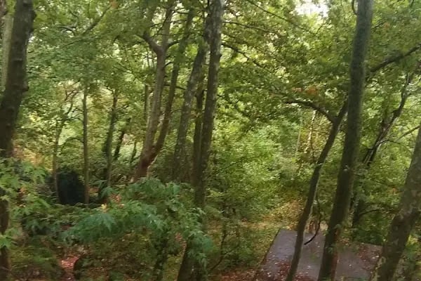Bademli Boriçi Park - Resim 12