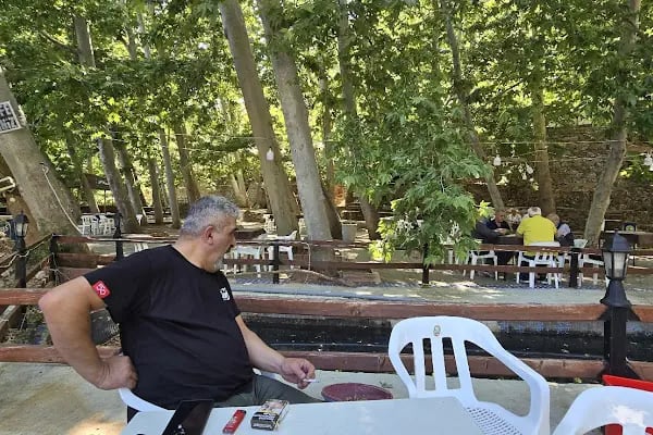 Bademli Boriçi Park - Resim 14