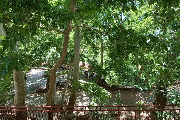 Bademli Boriçi Park - Resim 17