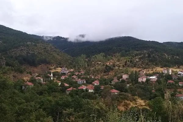 Bademli Boriçi Park - Resim 2
