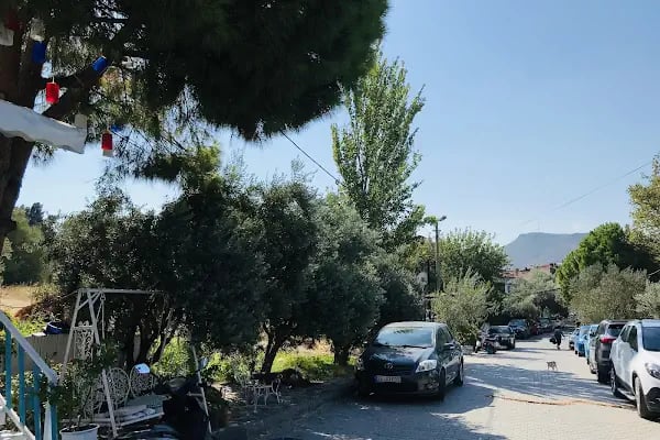 Bizim Pansiyon - Resim 8