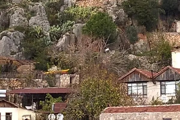 Elegance Villas &amp; Aparts - Resim 14